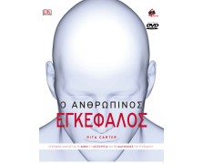 Ο Ανθρώπινος Εγκέφαλος