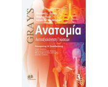 Gray's ανατομία Γ